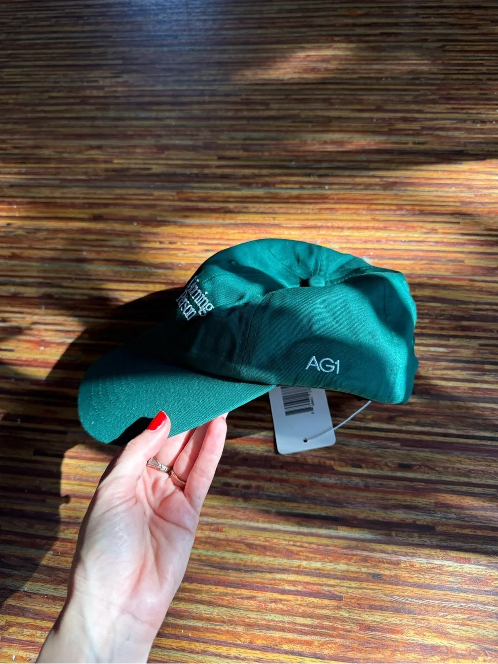 NWT Morning Person hat